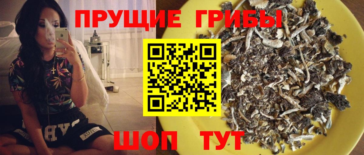 Галлюциногенные грибы мицелий  Вход с VPN  Северск 