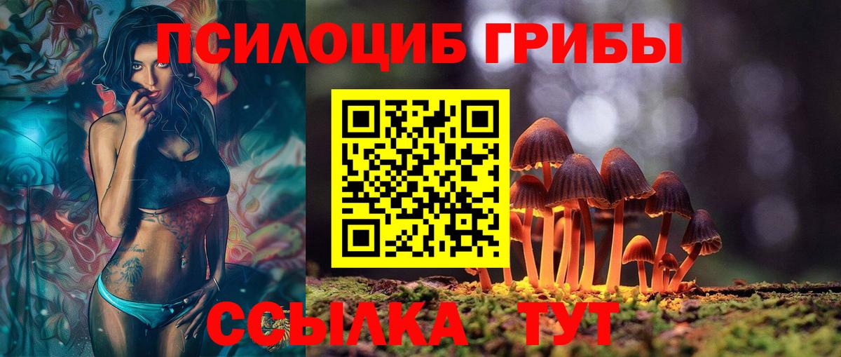 Галлюциногенные грибы GOLDEN TEACHER Северск